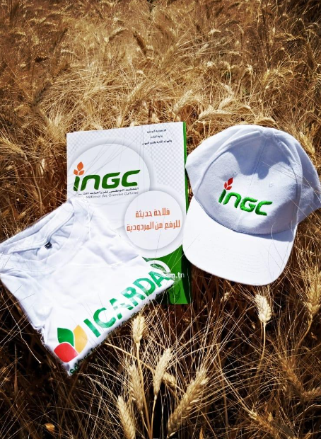 slide_ingc