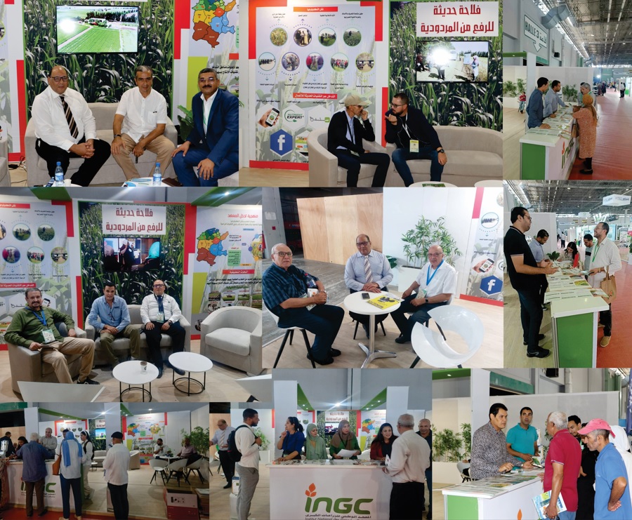 news_ingc