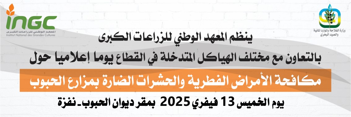 news_ingc