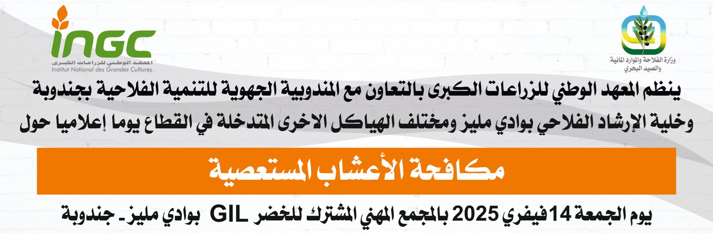 news_ingc