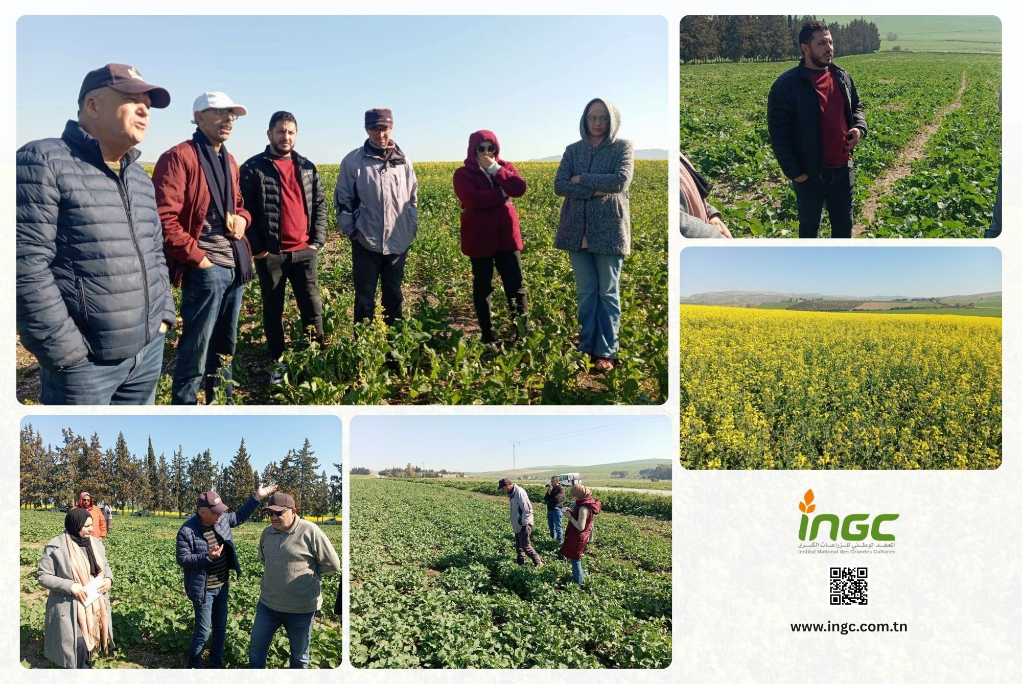 ingc_news