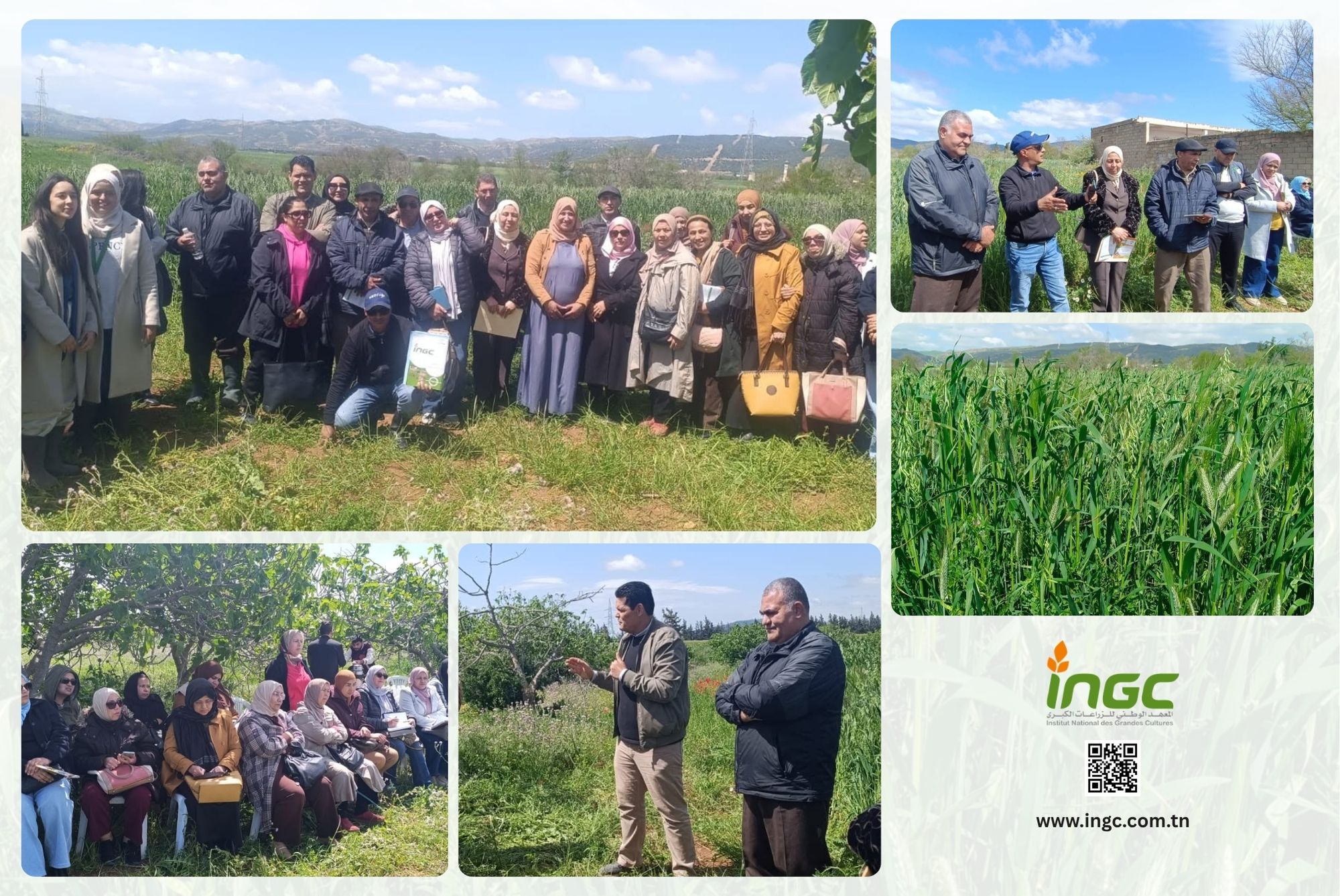 ingc_news