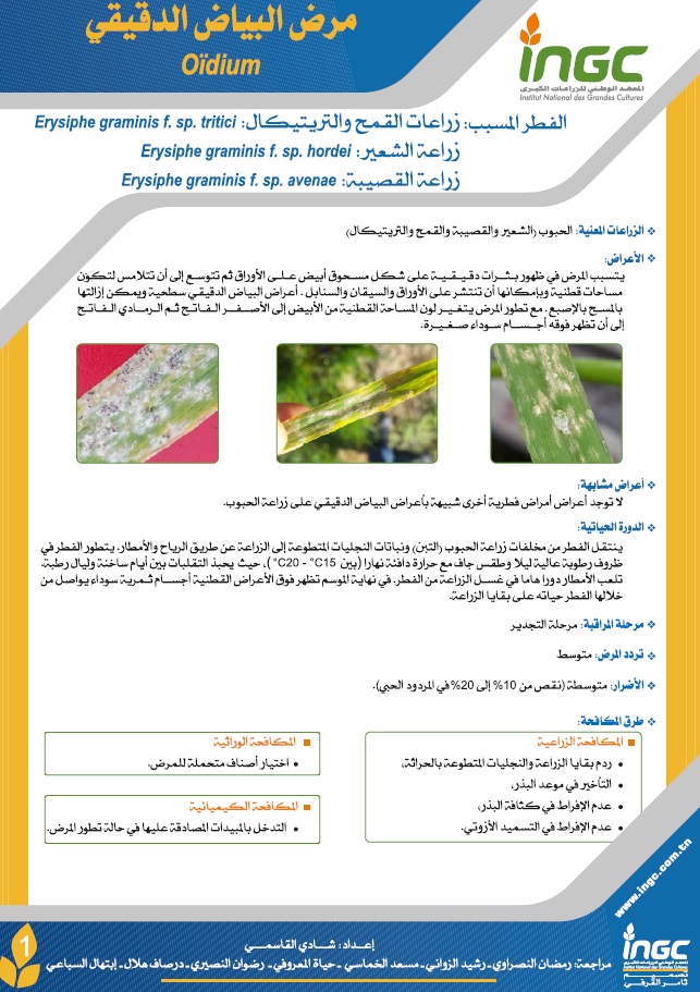 document_ingc