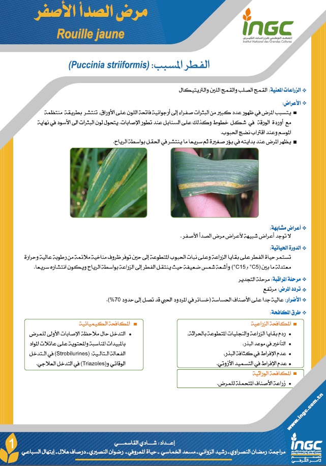 document_ingc
