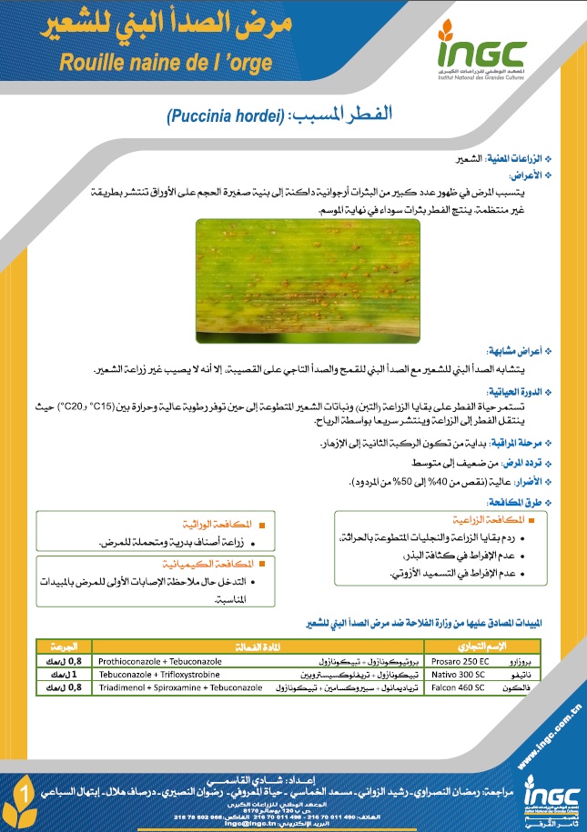 document_ingc