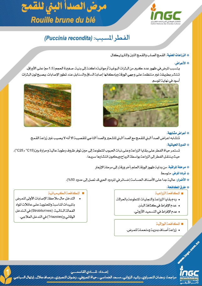 document_ingc