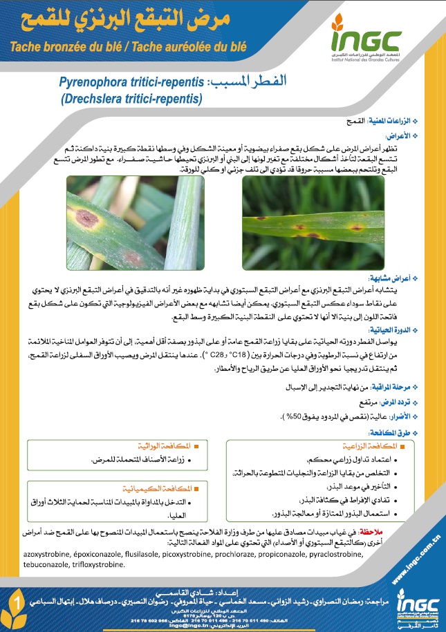 document_ingc