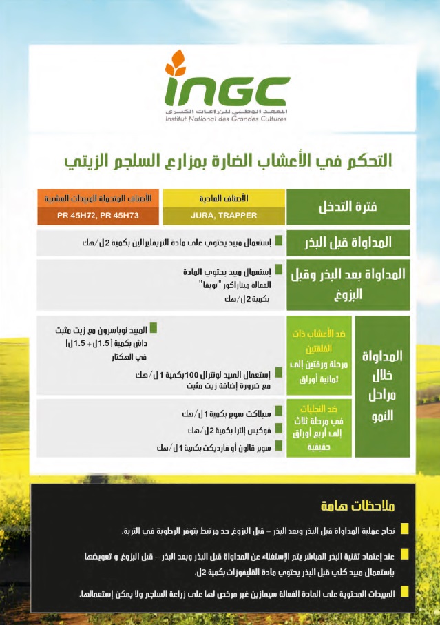 document_ingc