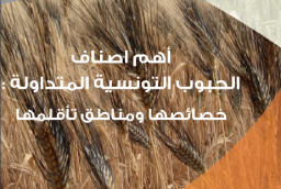 ressources_ingc